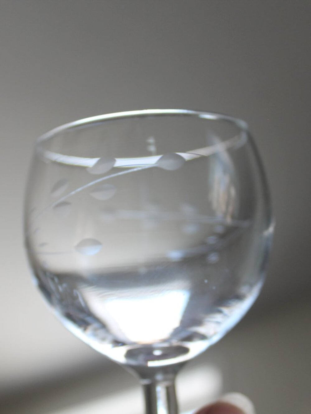 Paris Goblet Small Glass with Leaf Etchings (France)